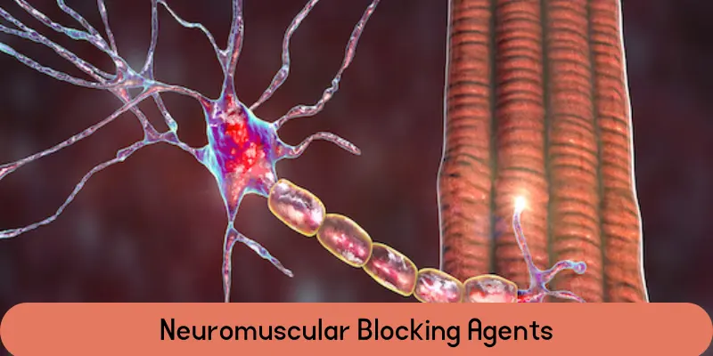 neuromuscular blocking agents