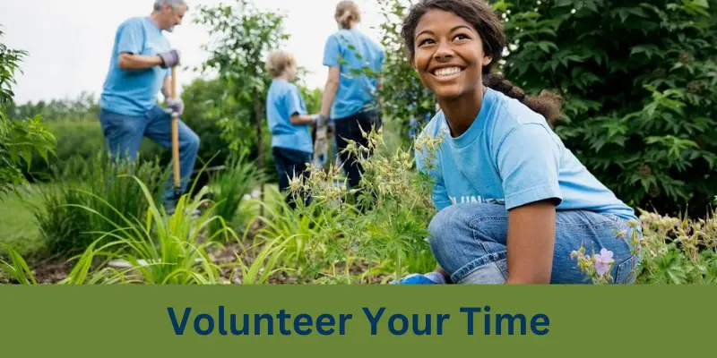 volunteer your time